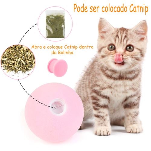 Bolinhas Para Pets - Pet Fun 
