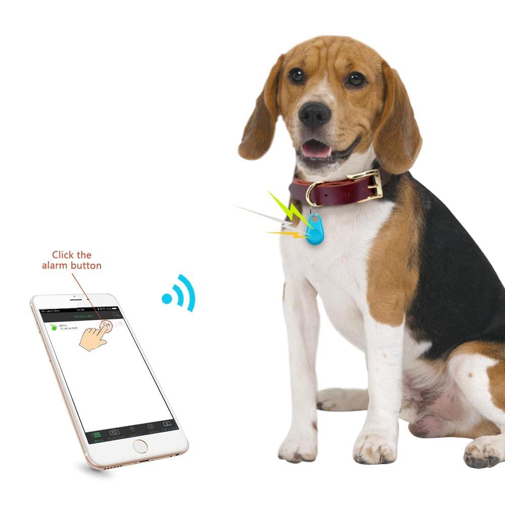 Rastreador GPS Coleira Para Cachorros Gatos Chaves Bolsas Mala Criança - Liora Express